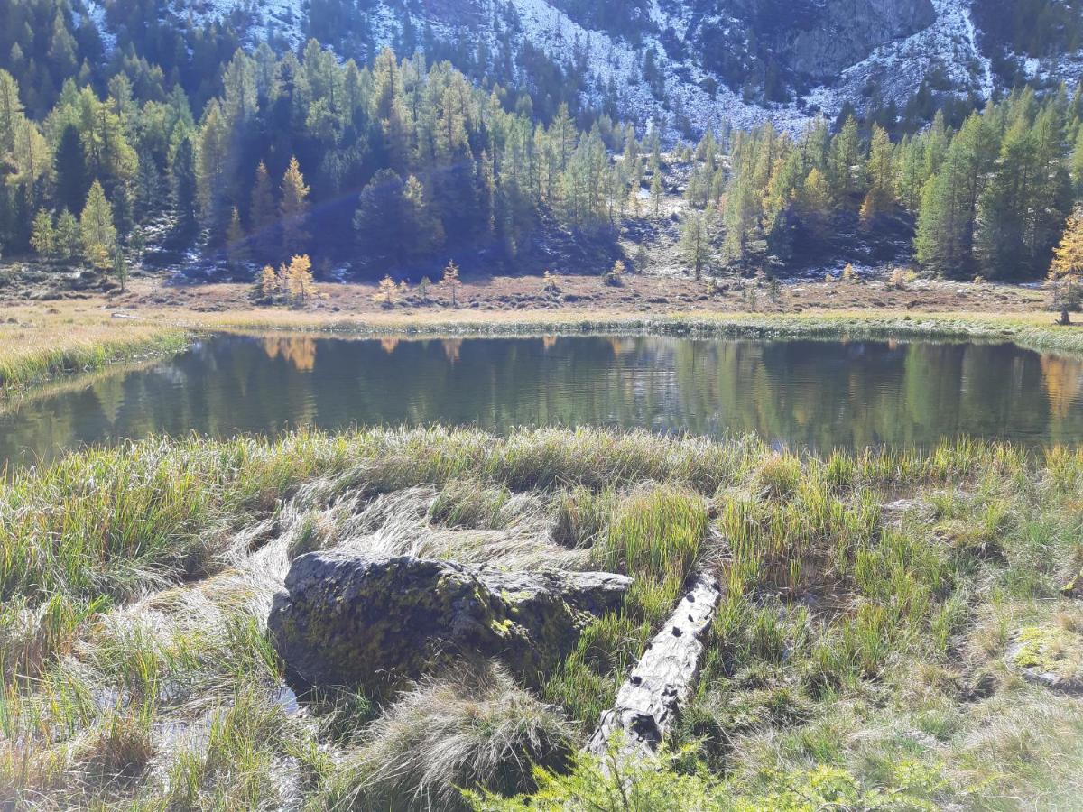 Almhaus Kaernten Flattnitz エクステリア 写真
