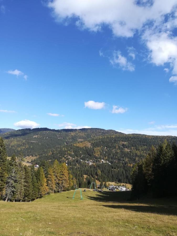 Almhaus Kaernten Flattnitz エクステリア 写真