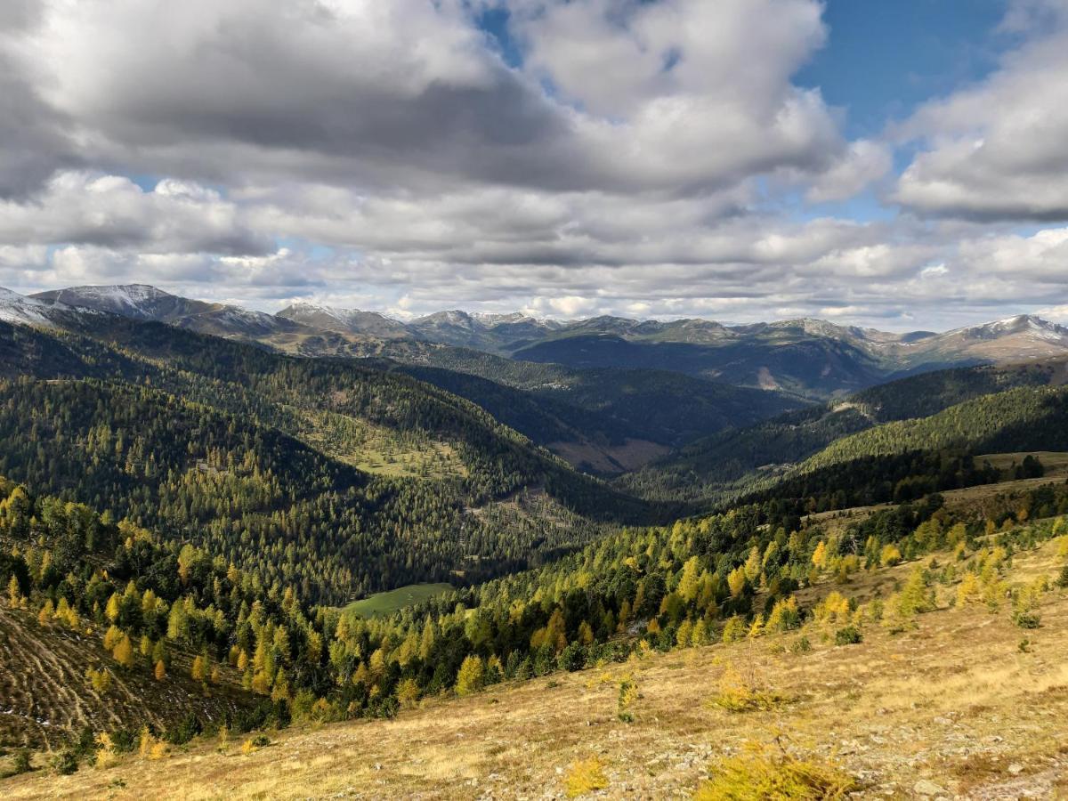 Almhaus Kaernten Flattnitz エクステリア 写真