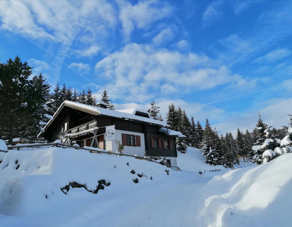 Almhaus Kaernten Flattnitz エクステリア 写真