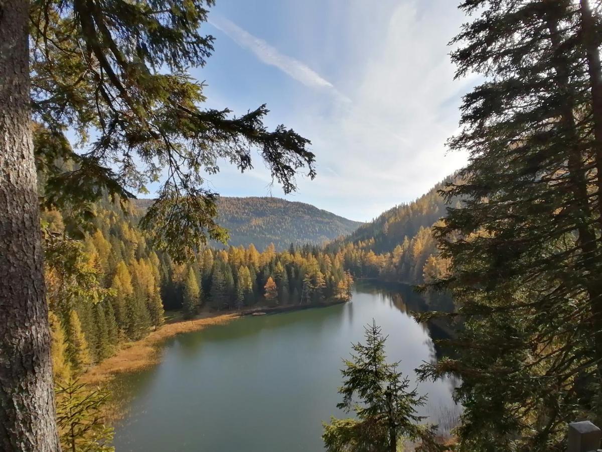 Almhaus Kaernten Flattnitz エクステリア 写真