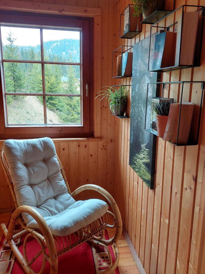 Almhaus Kaernten Flattnitz エクステリア 写真